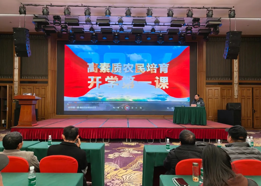 1735305187130968.jpg 2.jpg