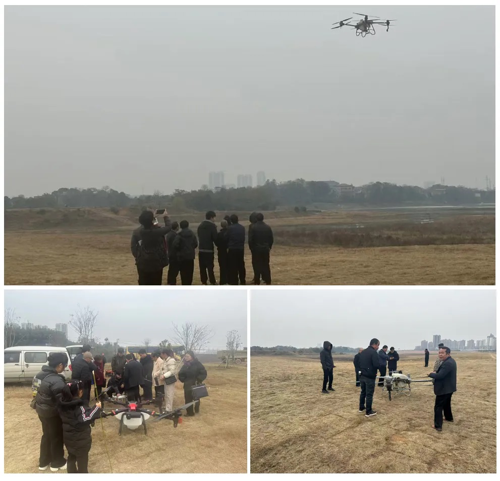 1735305728743347.jpg 3.jpg