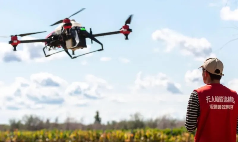 1736565828532305.jpg 640.jpg