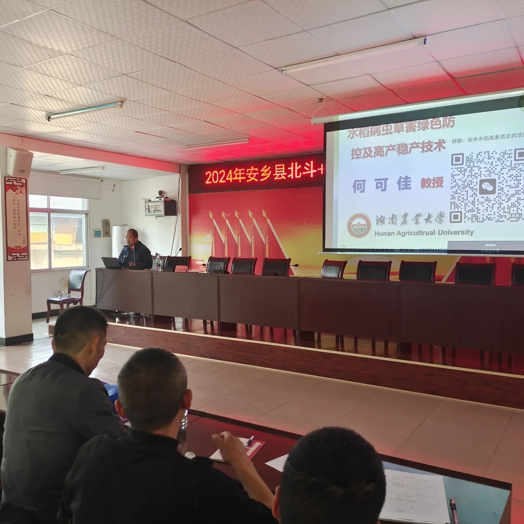 1736829874134204.jpg 640 (4).jpg