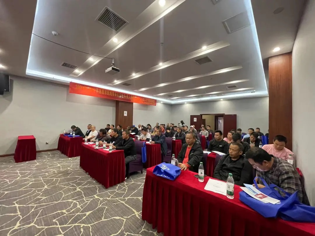 1736835157124973.jpg 8.jpg